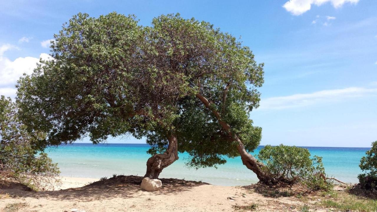 Appartamento delizioso attico a 500 metri dal mare Avola Esterno foto